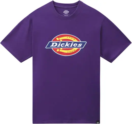 Бренд dickies. Футболка дикис. Dickies t shirt. Свитшот dickies серый. Dickies что за бренд.