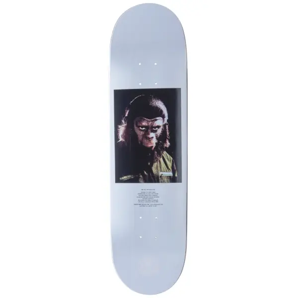 Skateboard Deck Element Pota (8.25" - Wasteland)